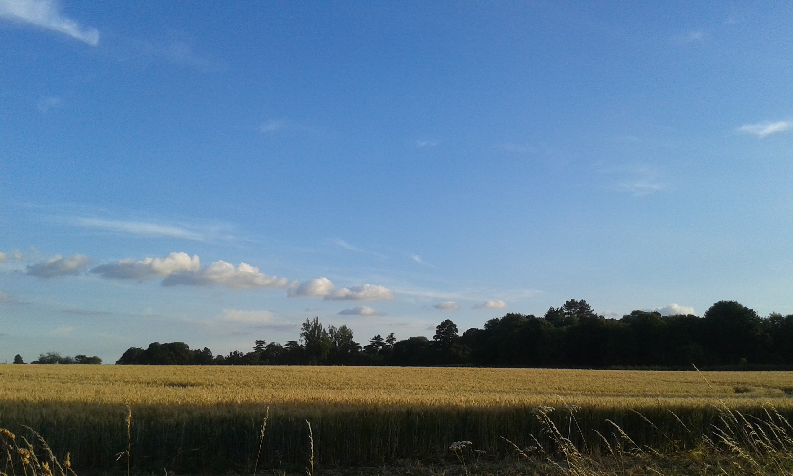 Pinkneys Farm looking across the fields