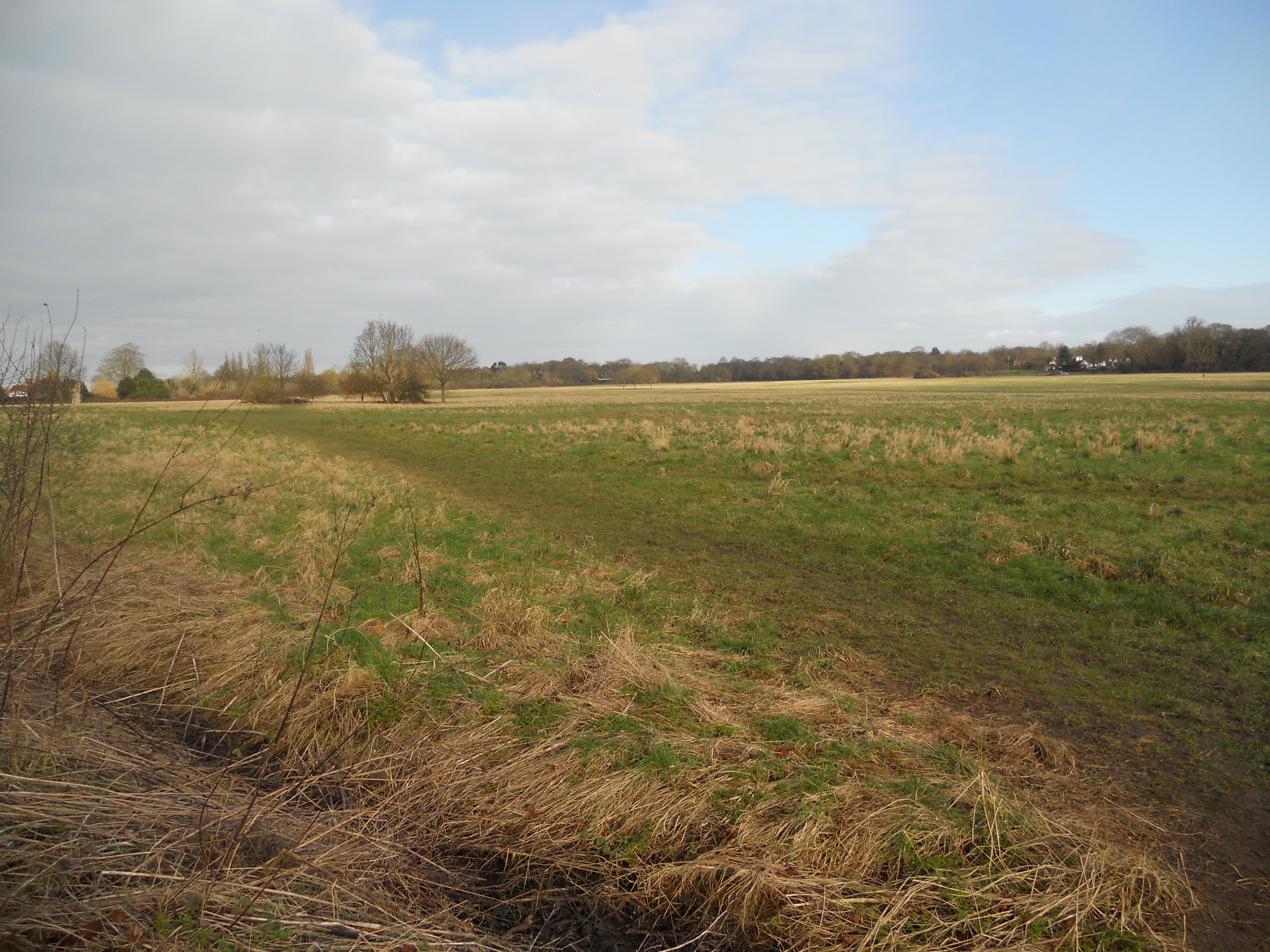 Views over Pinkneys Green