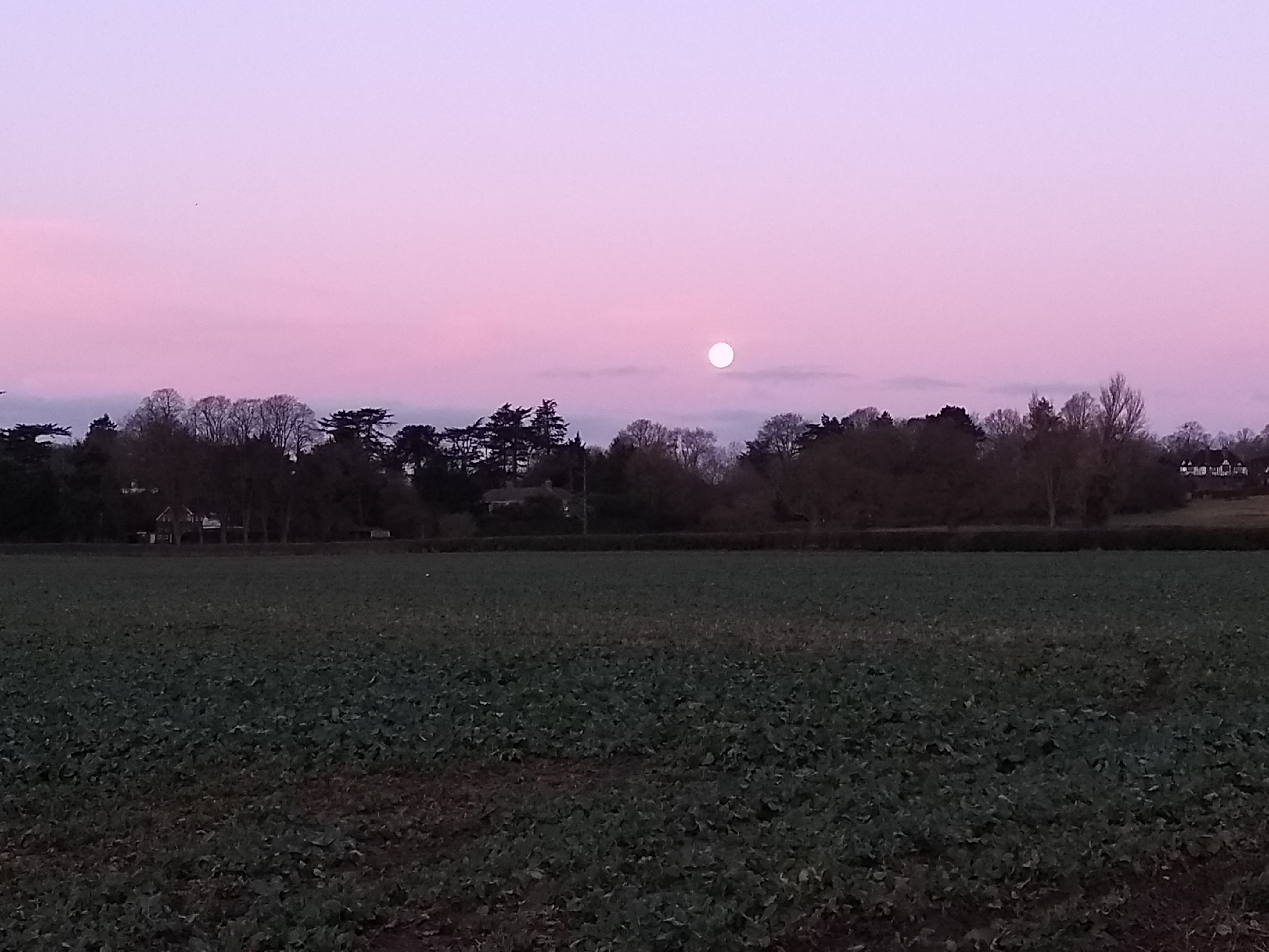 Super moon at Pinkneys Green Cricket Club