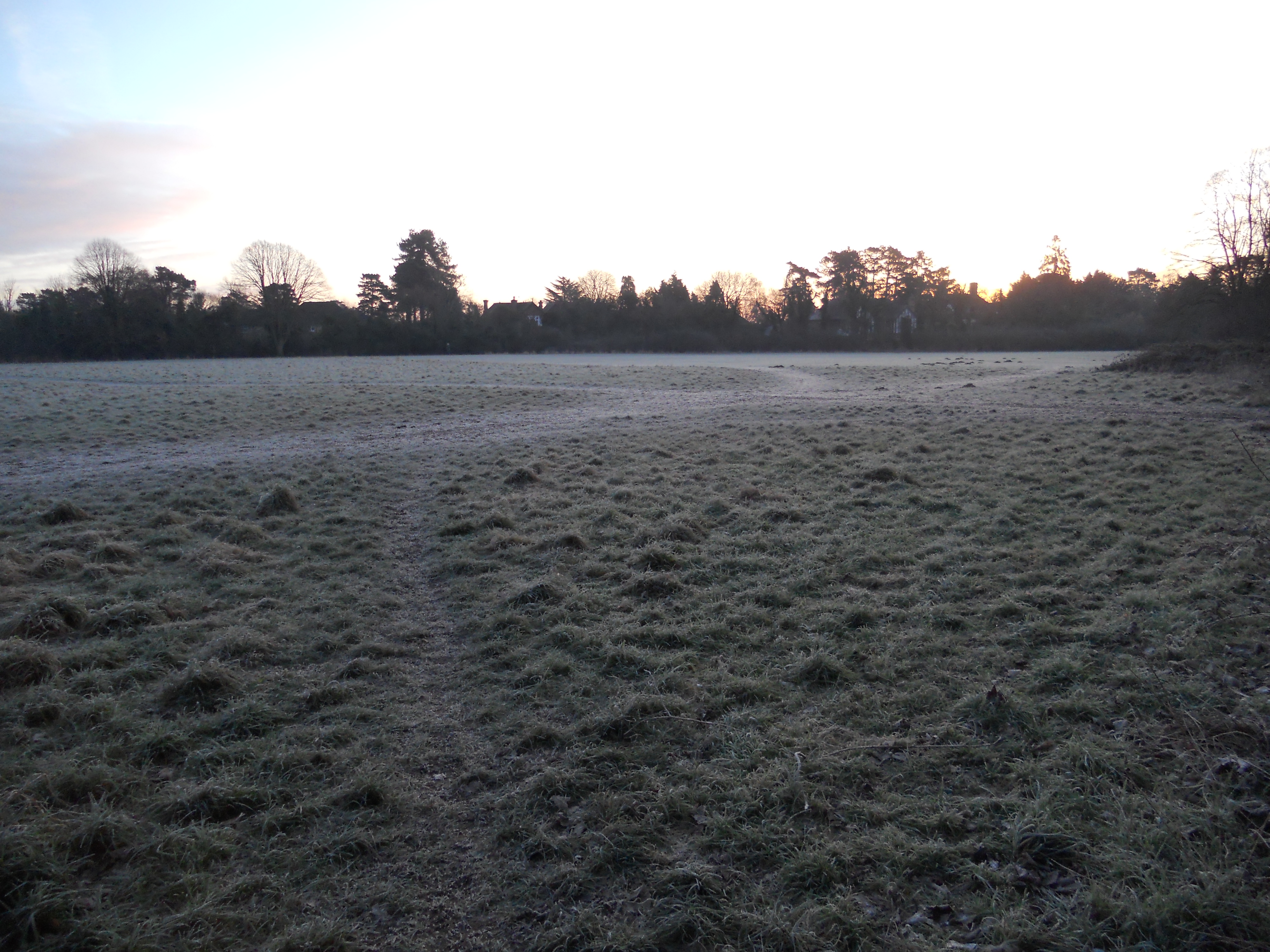 Maidenhead Thicket early morning frost