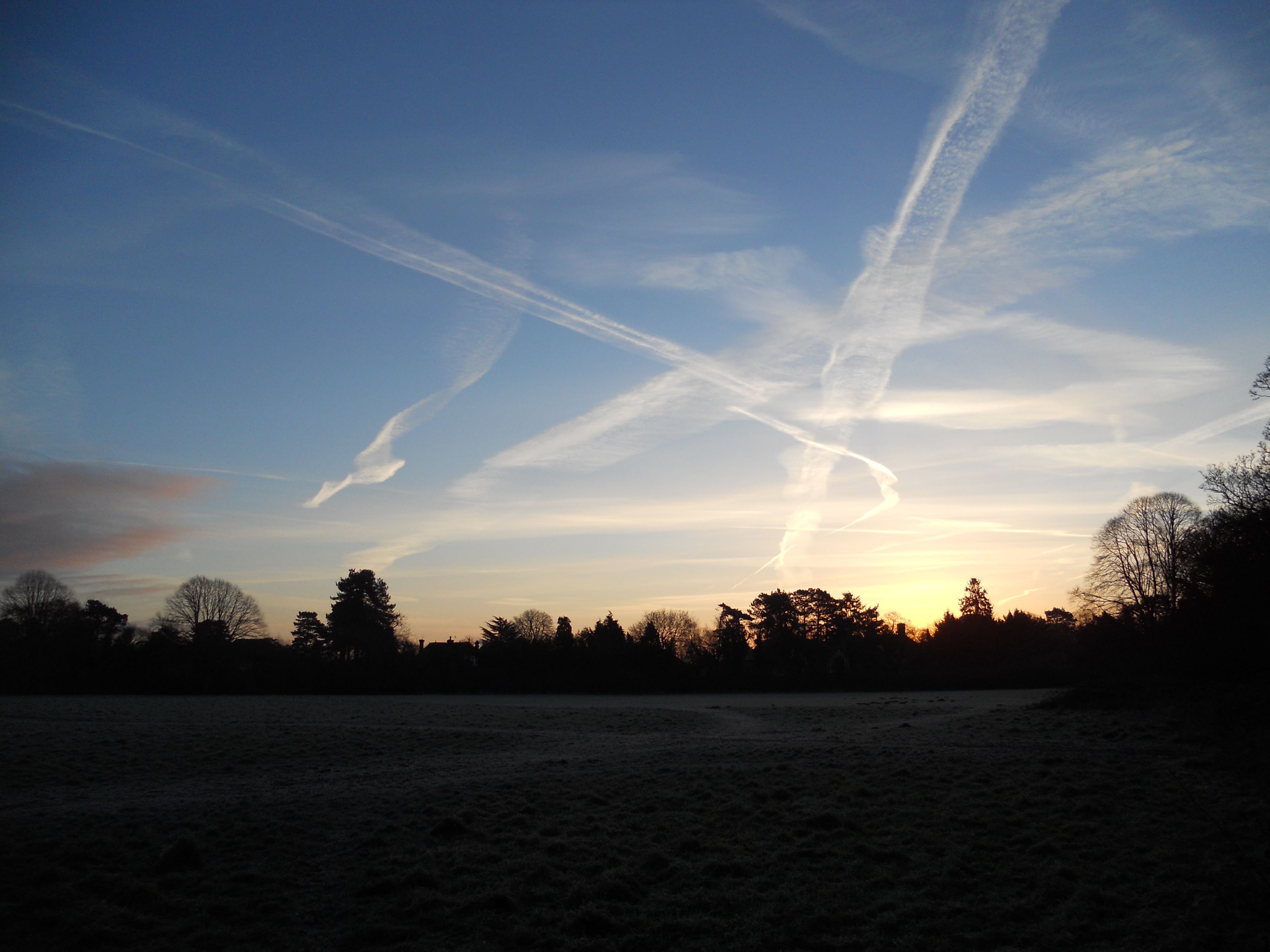 Maidenhead Thicket early morning