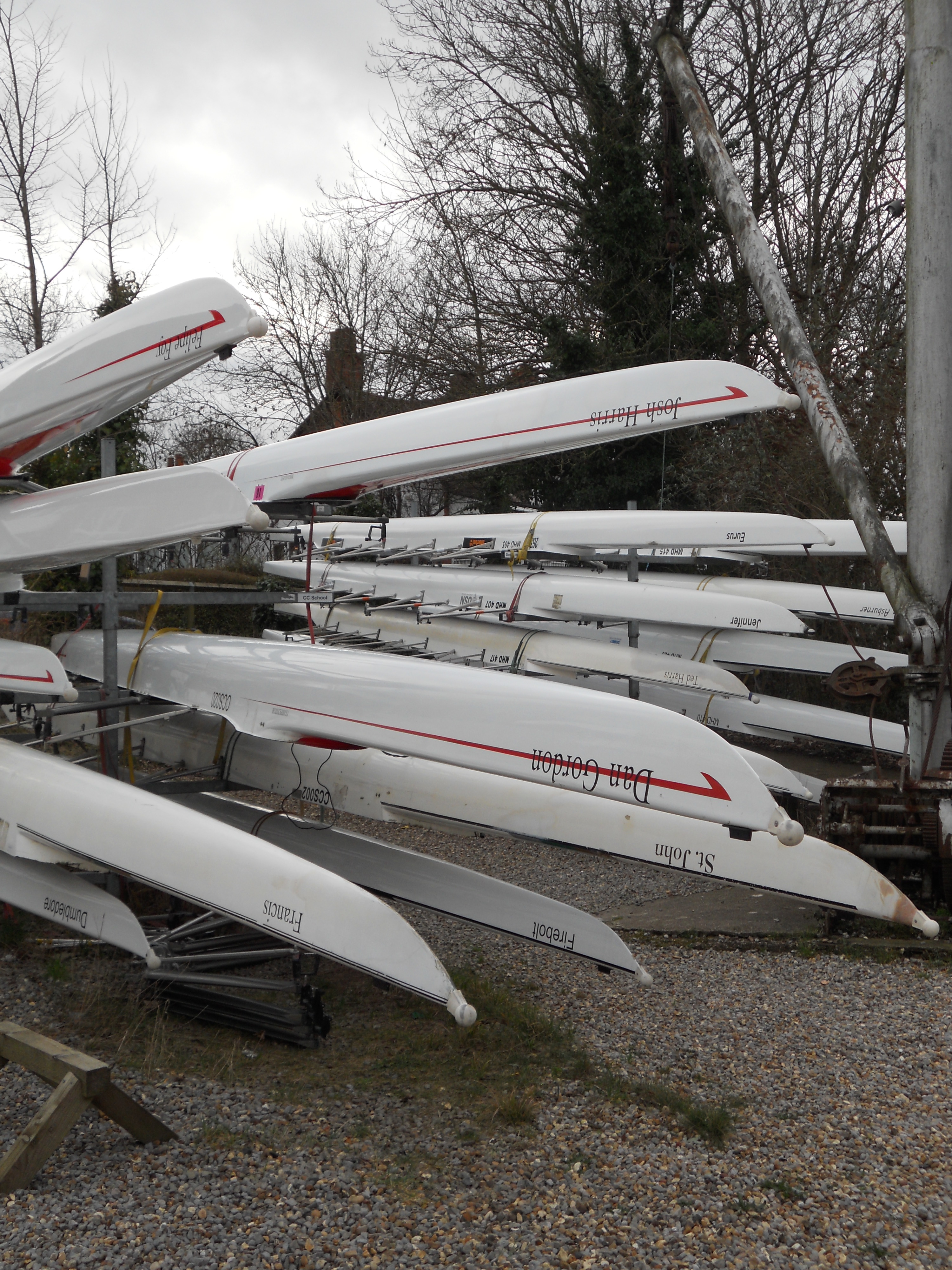 Rowing Club skulls with names