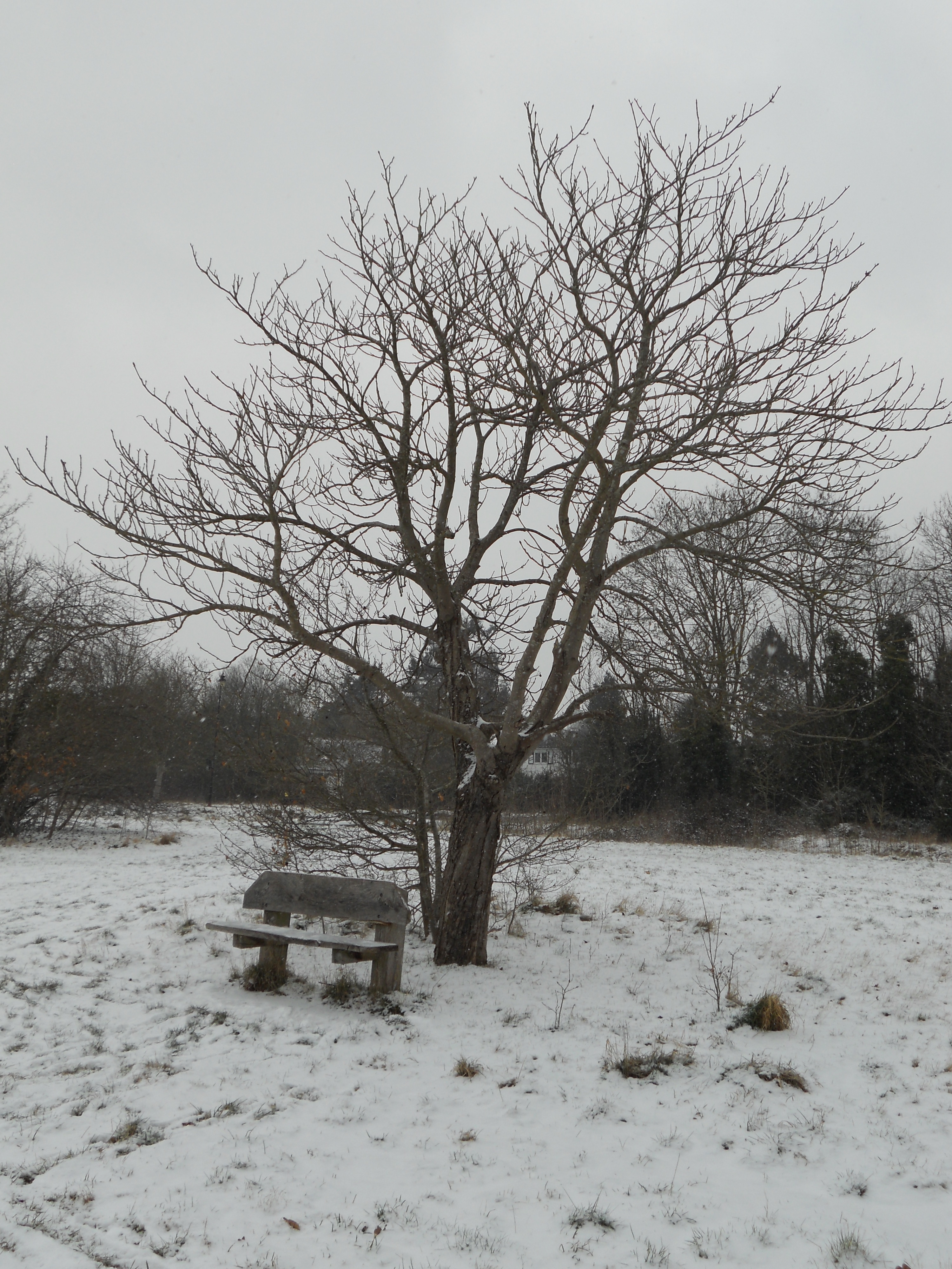 Cold and lonely seat 