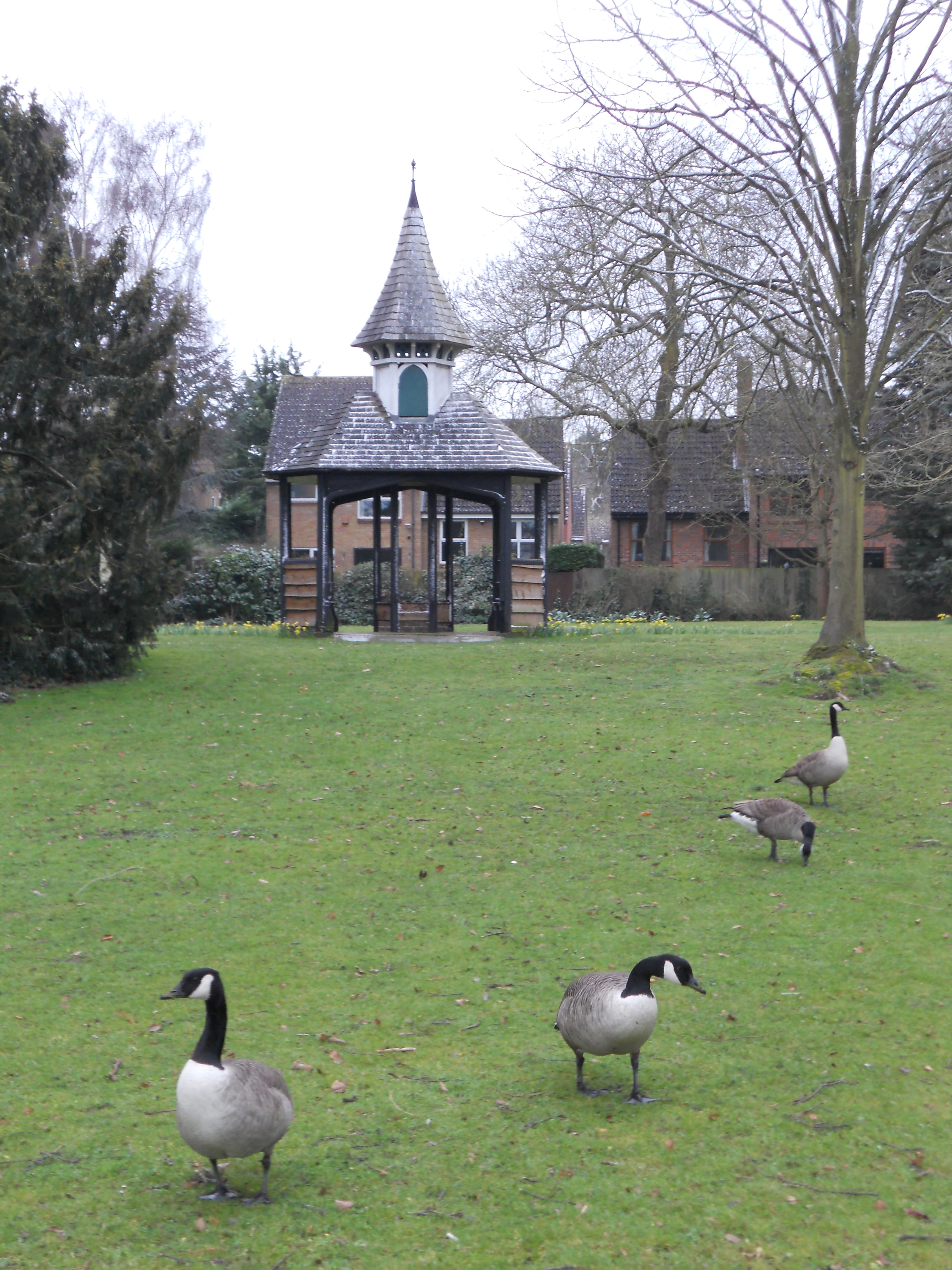 Guards Club Park statue and Canadian geese
