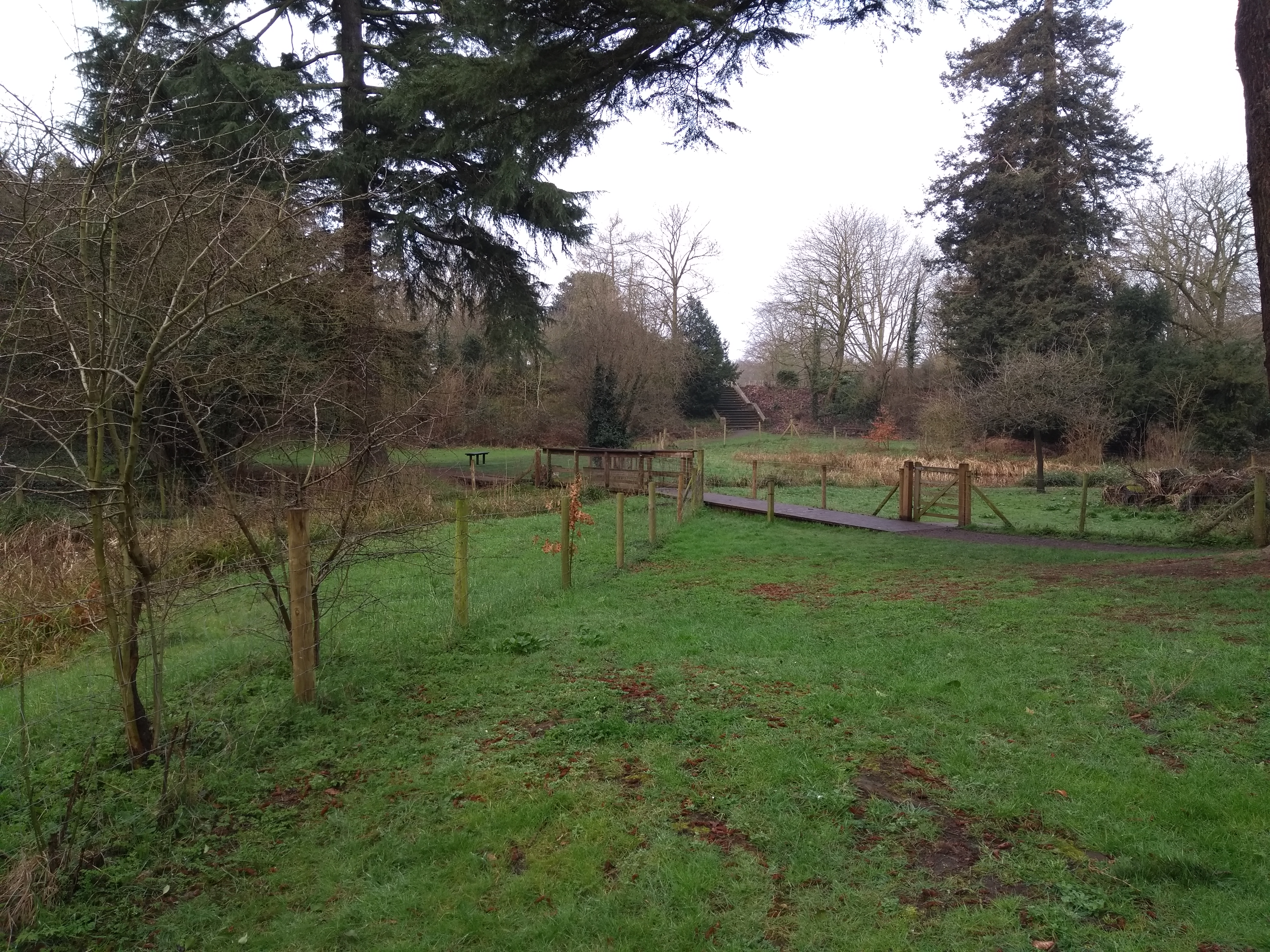 Paths around Braywick Nature Park