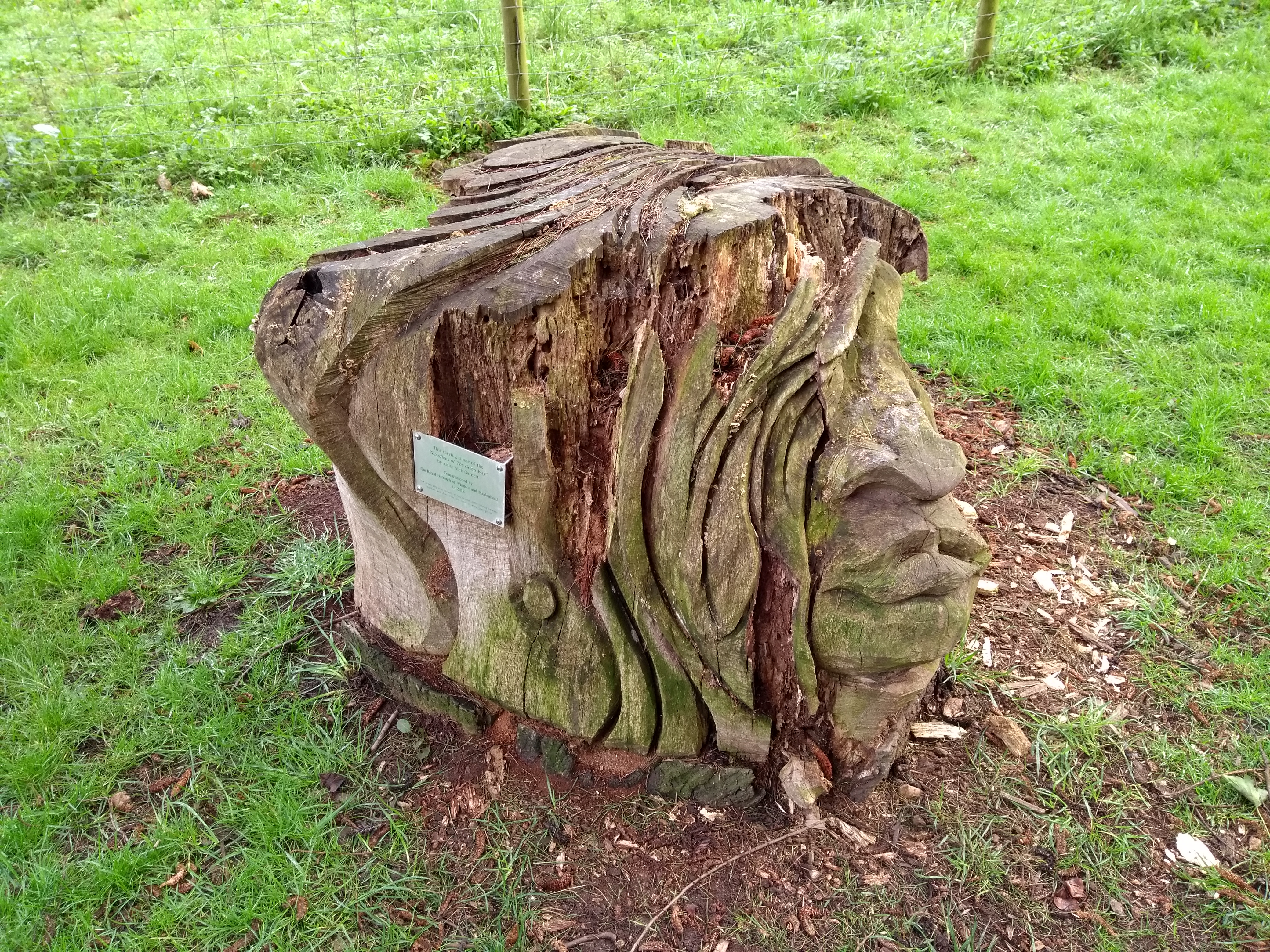Guardian in Braywick Park