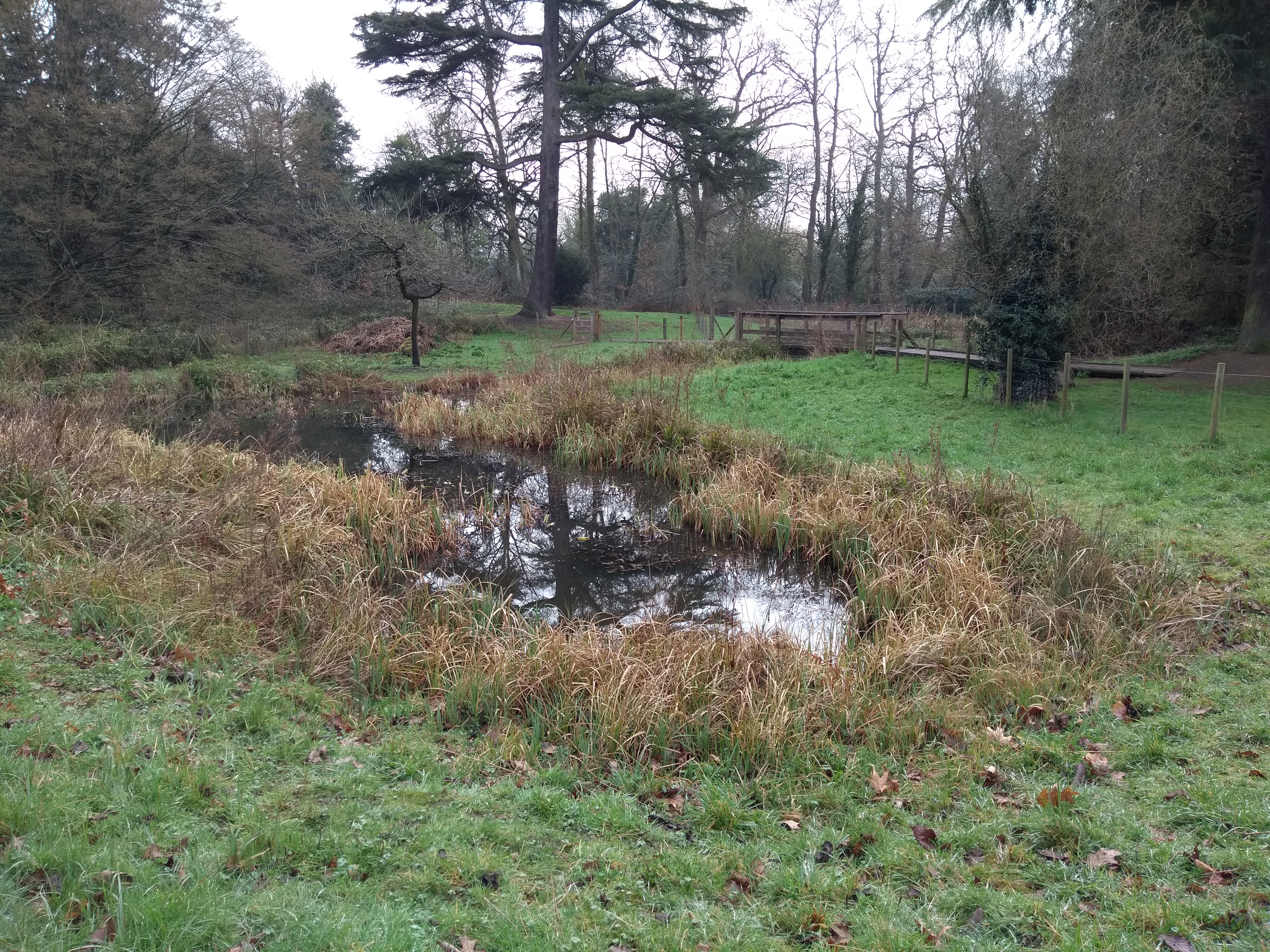 Braywick Nature Park