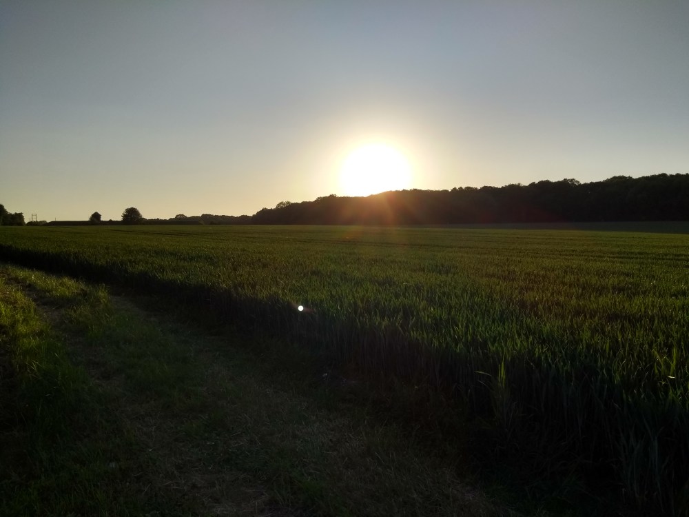 Sunset over the fields at Pinkneys Green