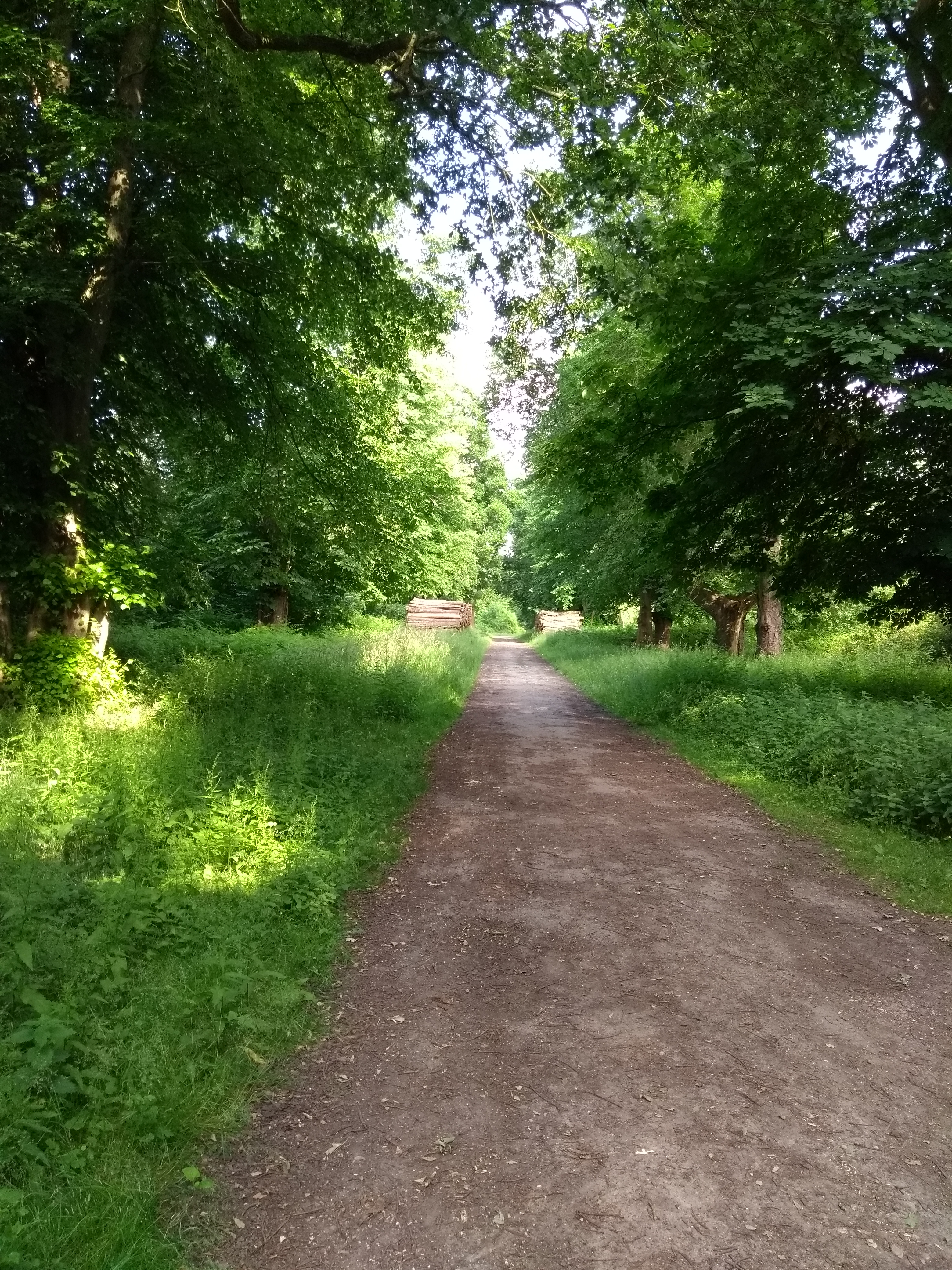Footpath to Robin Hoods Arbour