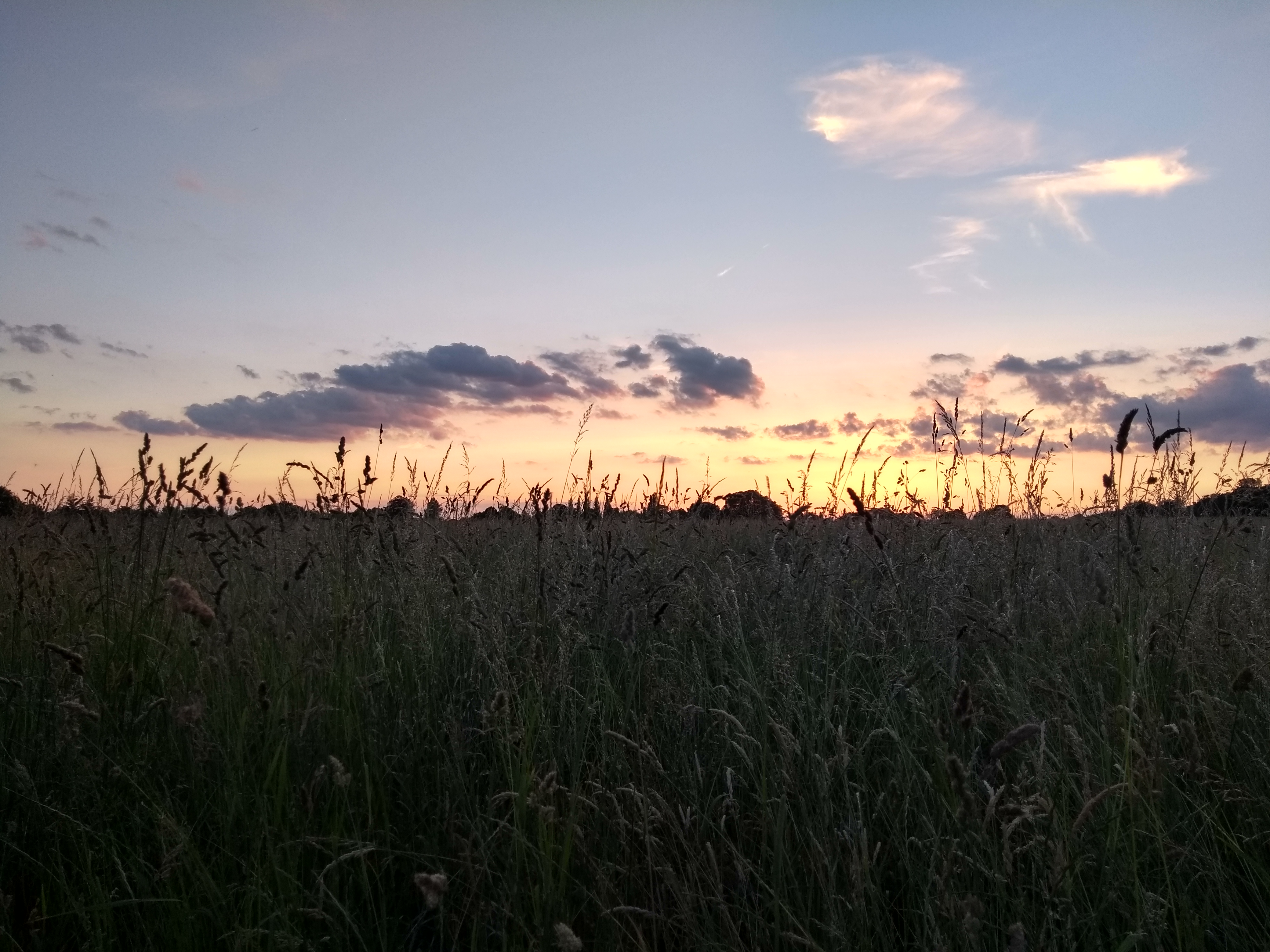 Pinkneys Green Sunset
