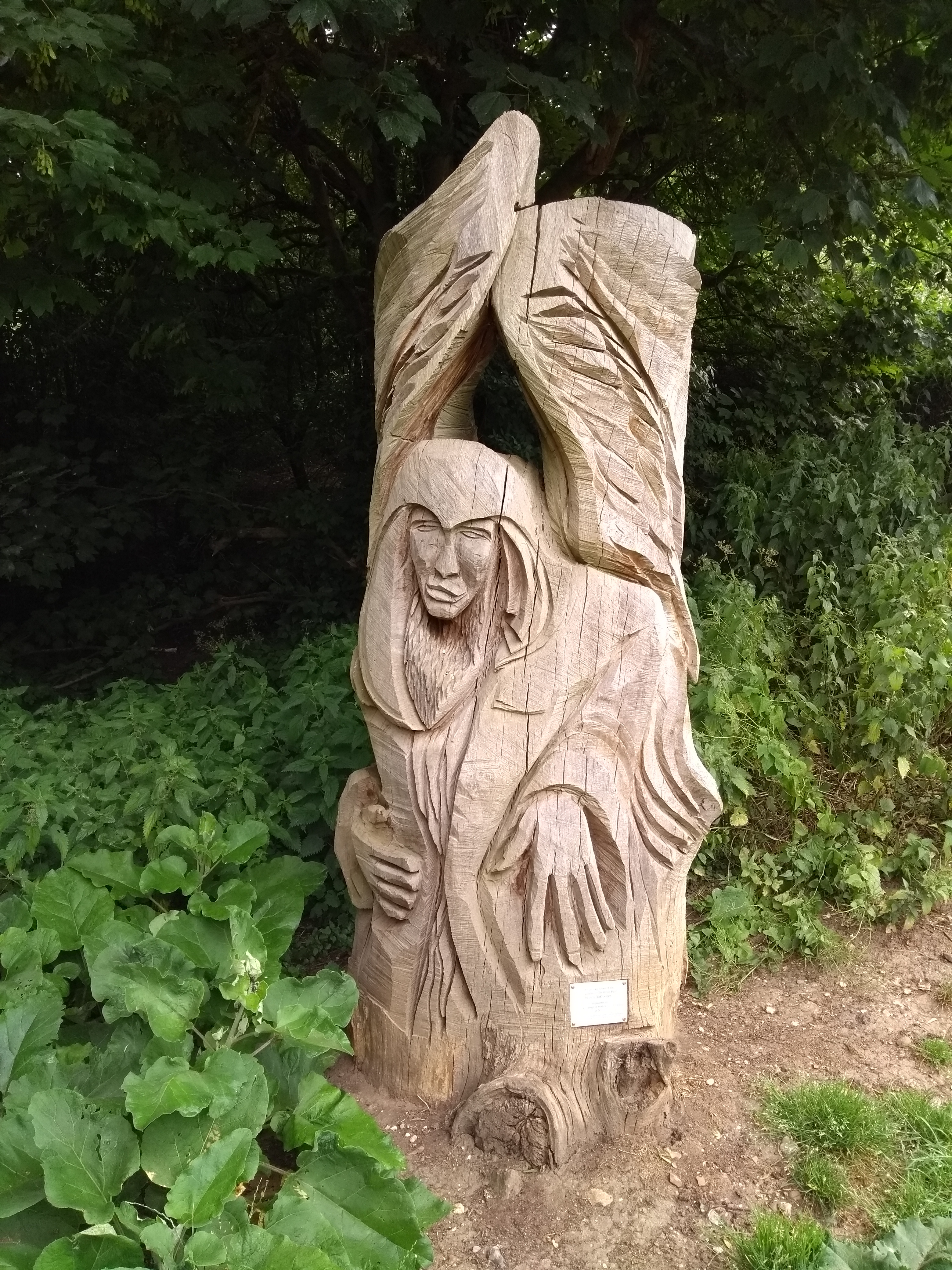 Guardian at Braywick Park