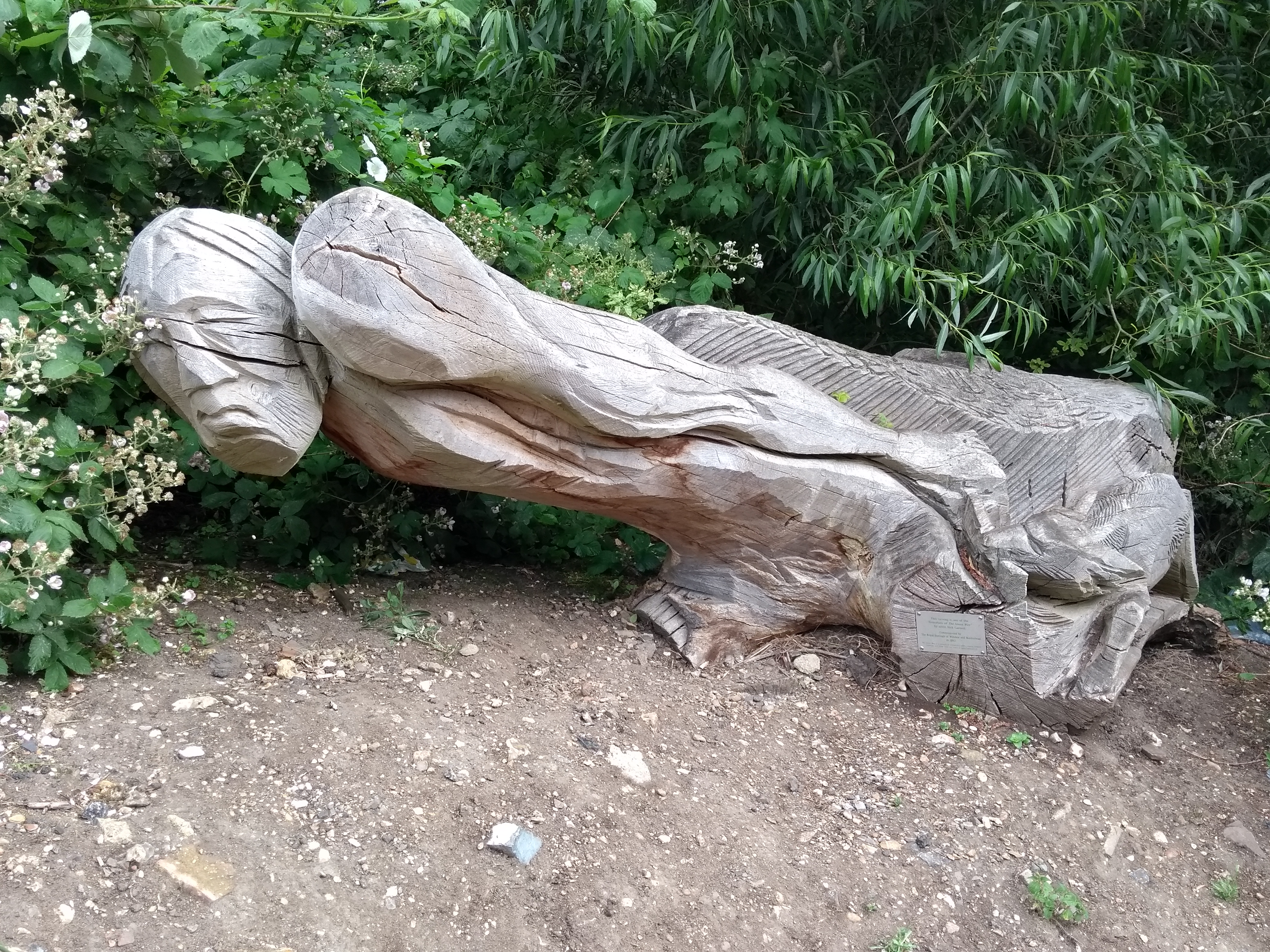 Guardian in Braywick Park