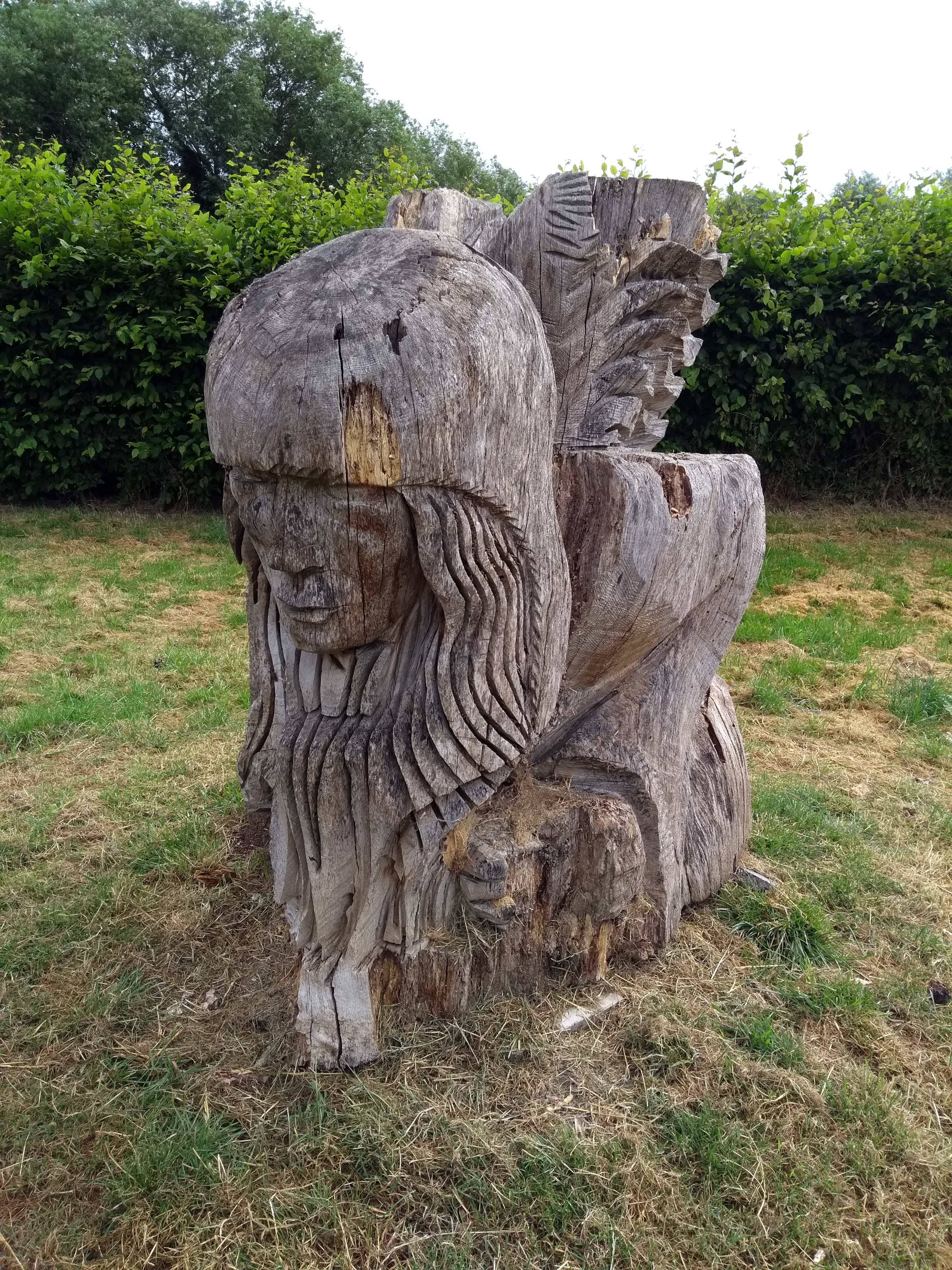 Guardian on North Town Moor