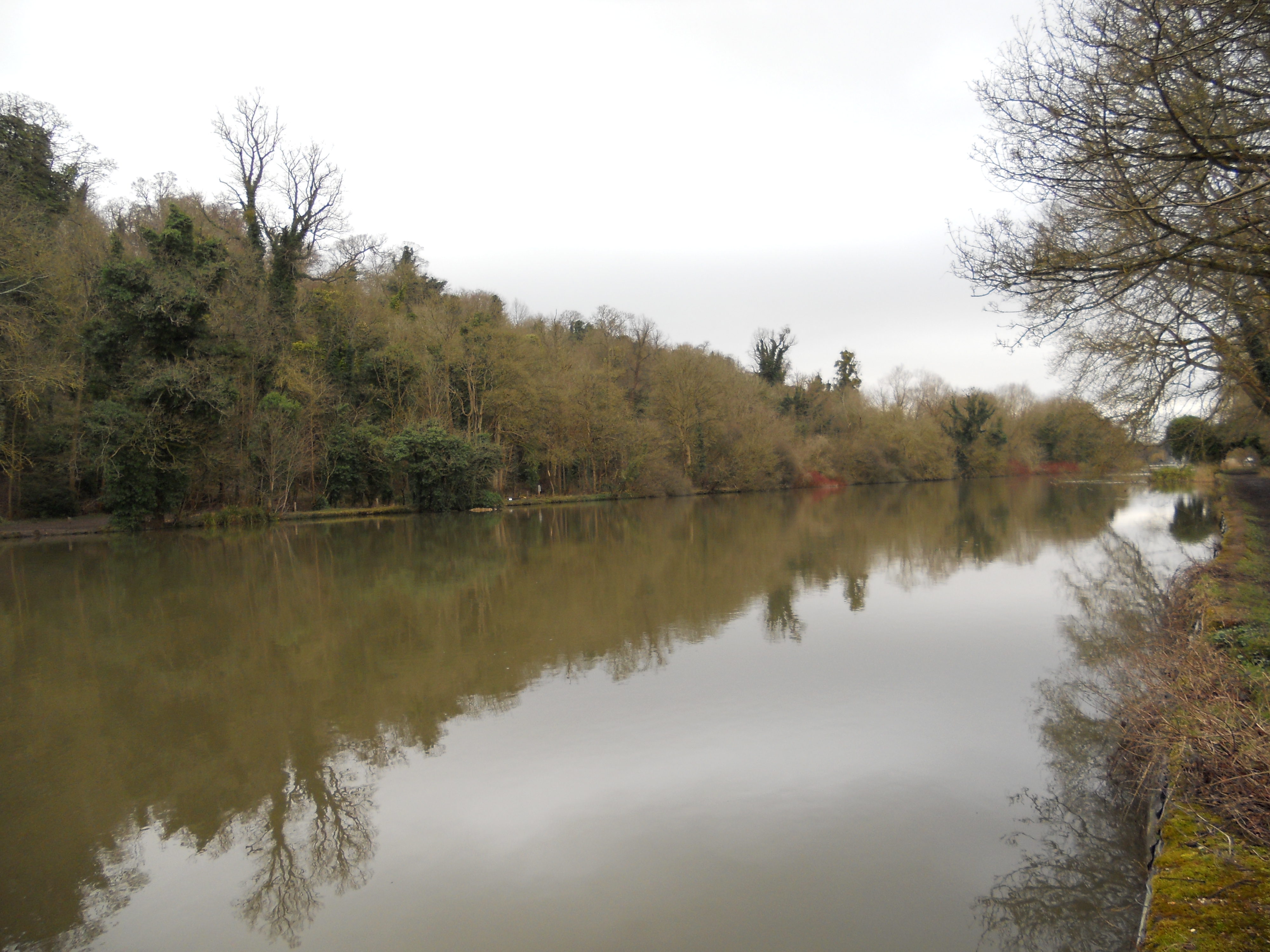 River Thames from the footpath towards Boulters Lock