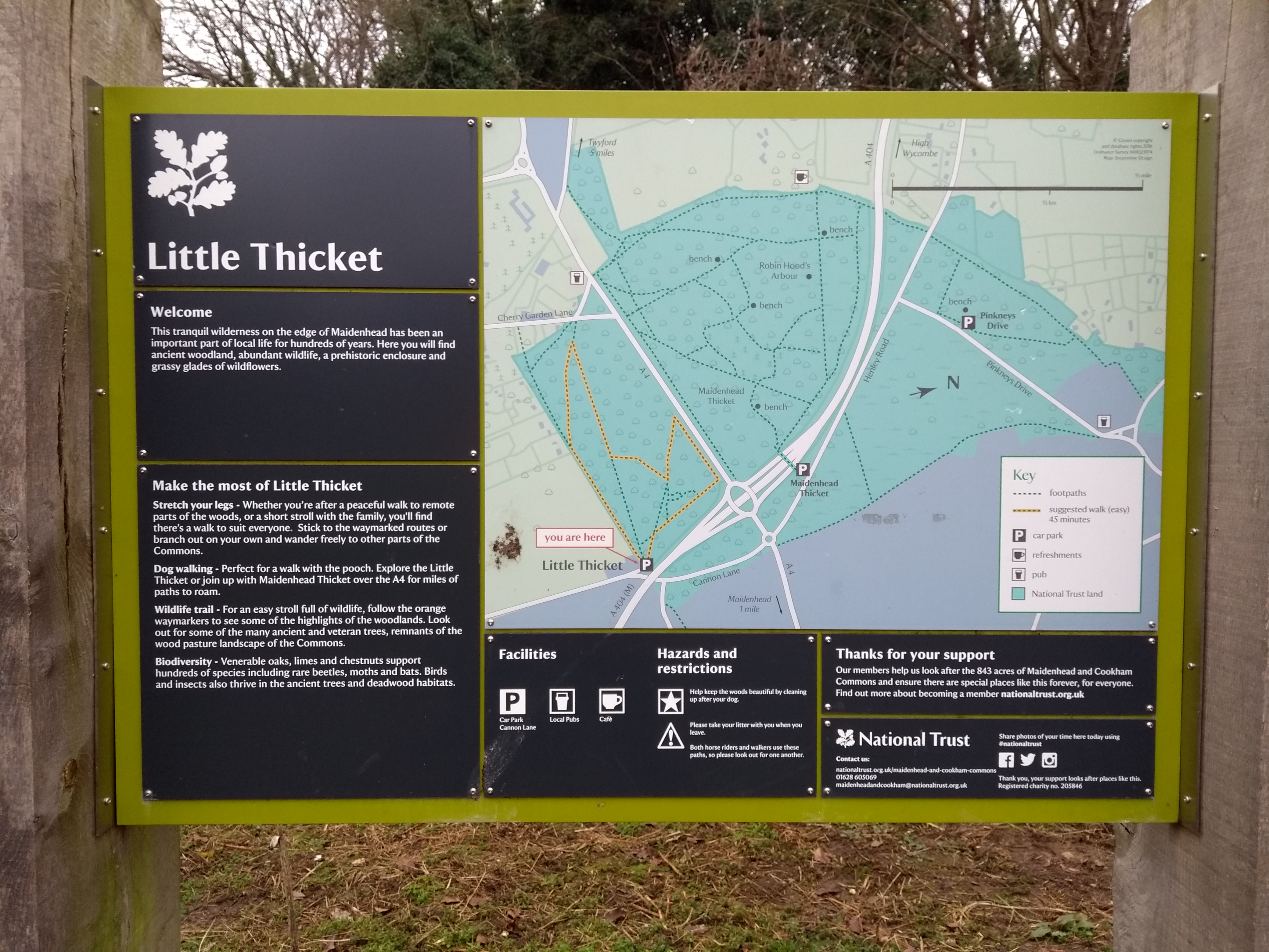 Little Thicket National Trust