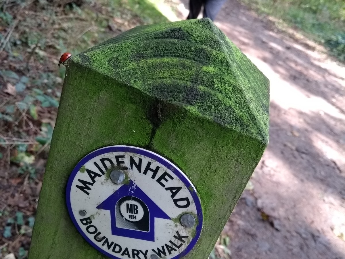 Maidenhead Boundary Walk