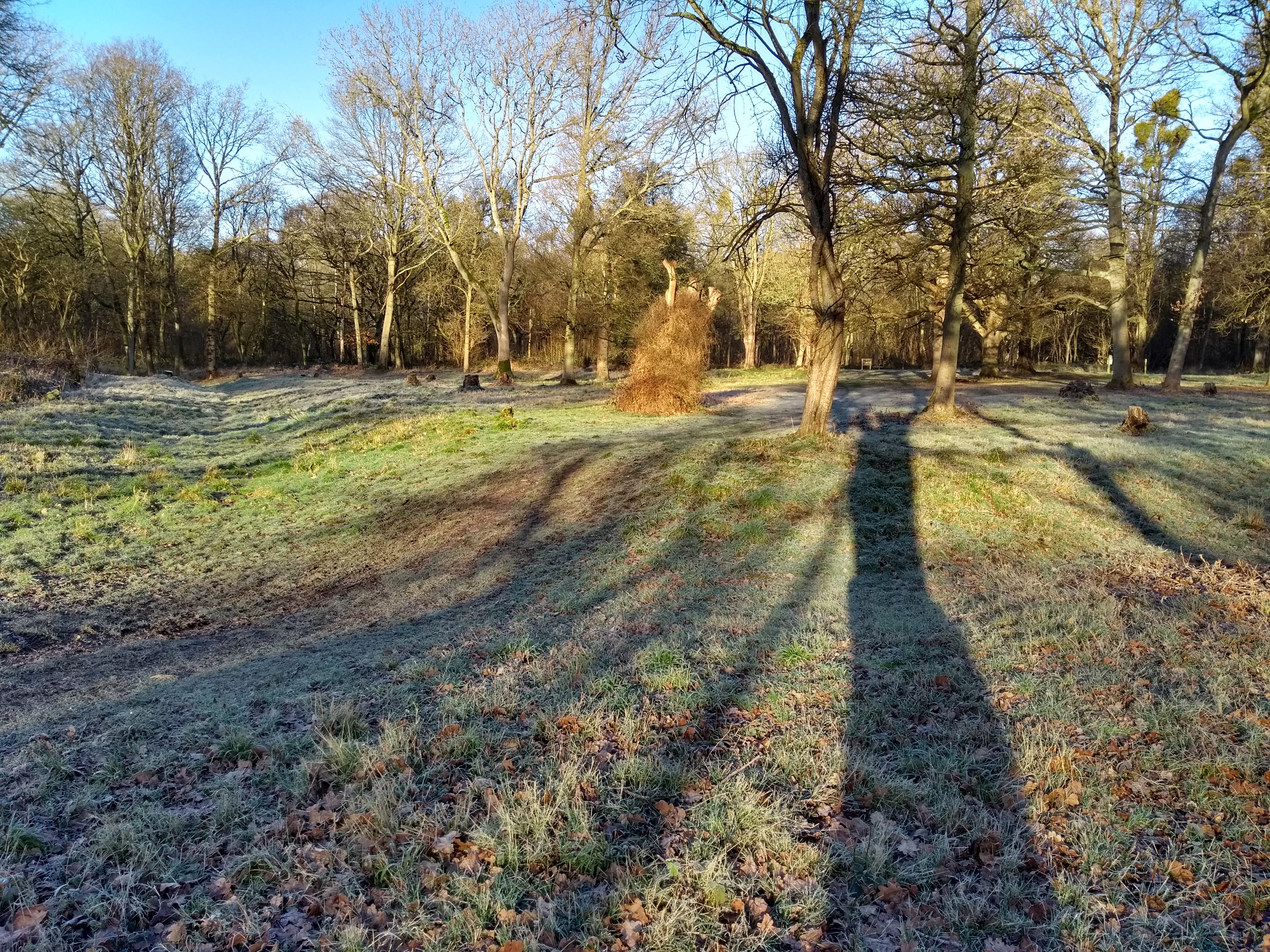 Robin hoods Arbour in Winter