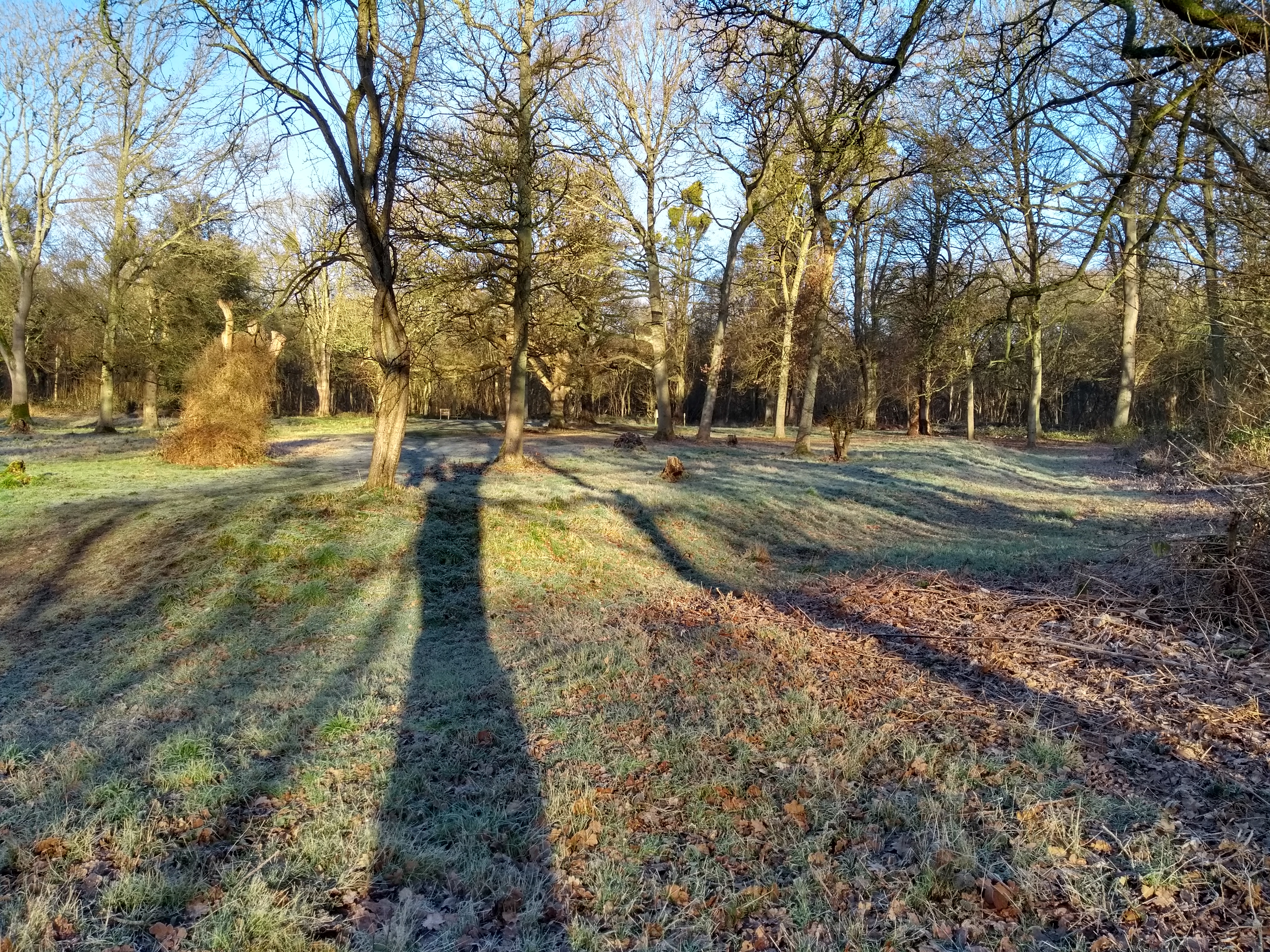 Robin Hoods Arbour ditches 