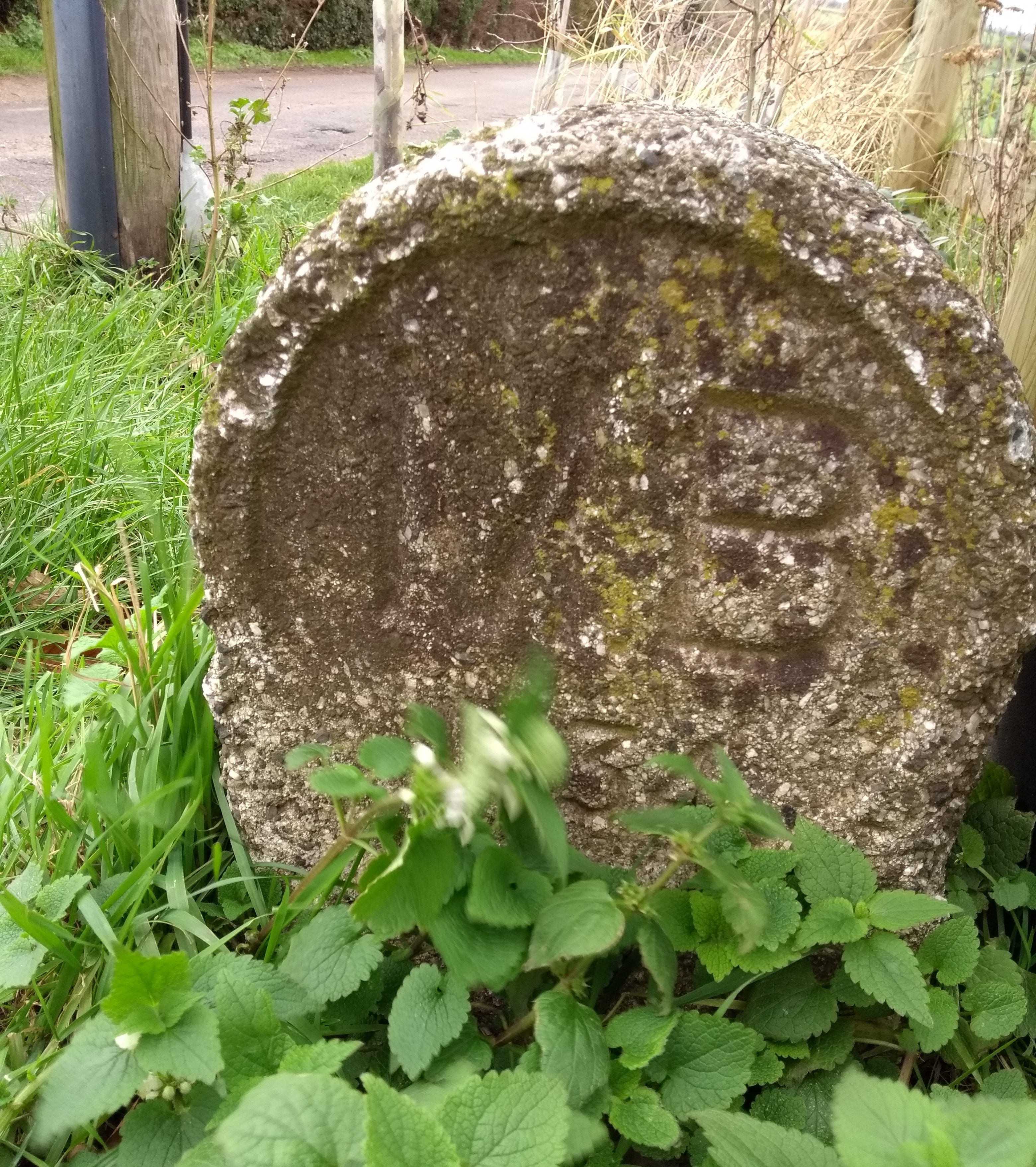 Boundary Stone MB16 Nightingale Lane and Cannon Lane