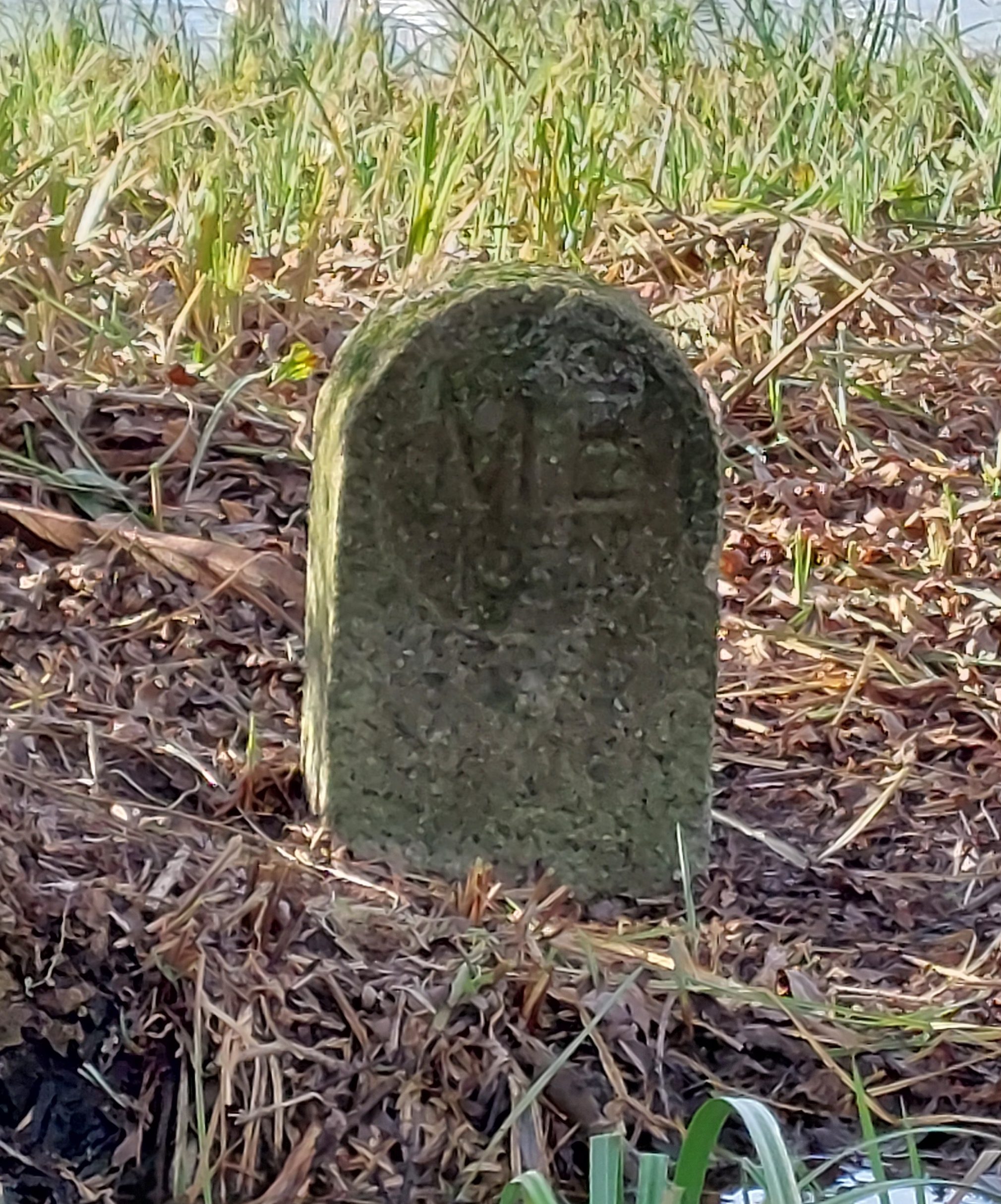 Boundary Stone MB19 North Town Moor