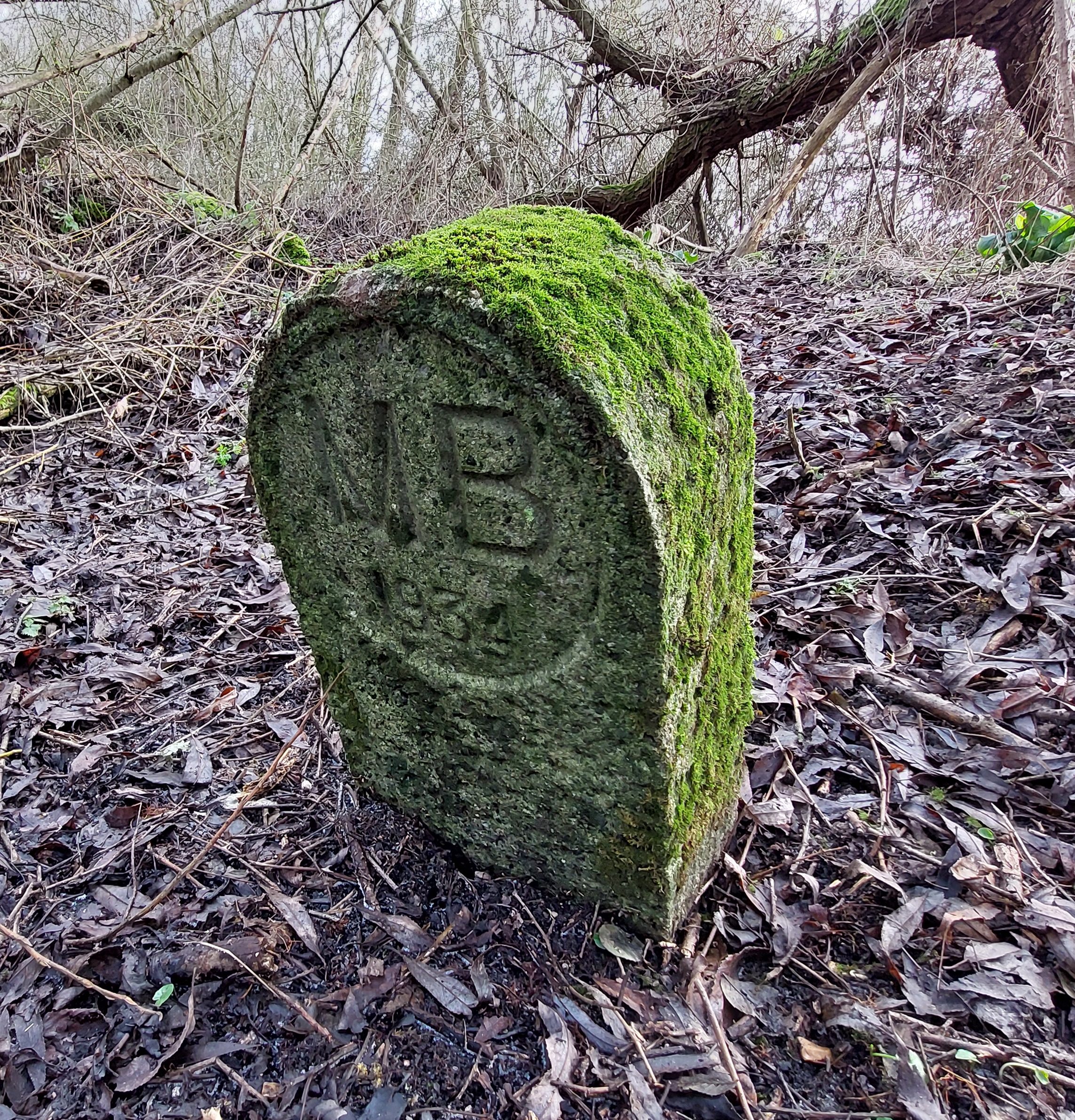 Boundary Stone MB29 North Town Moor