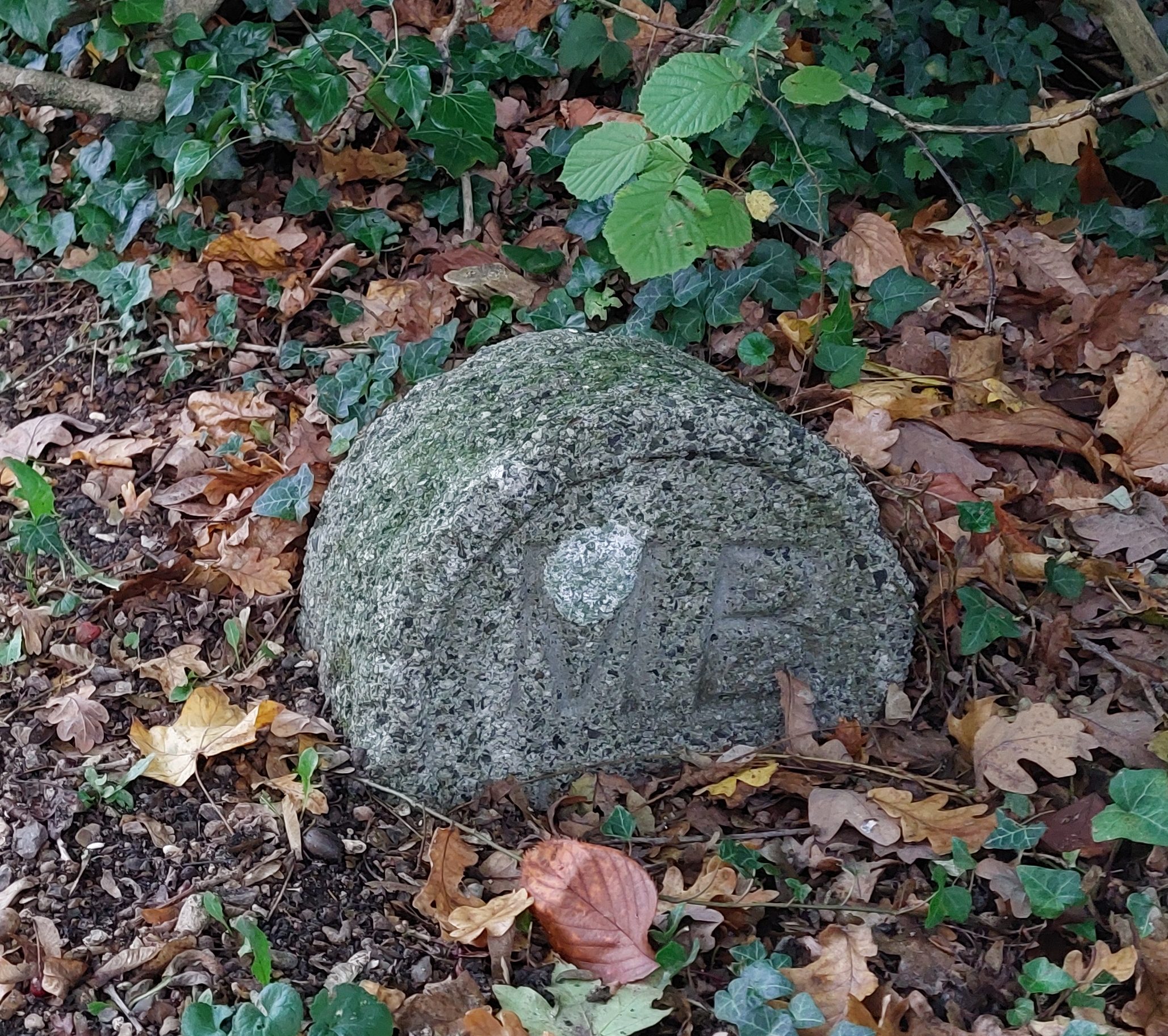 Boundary Stone MB11 Darlings Lane