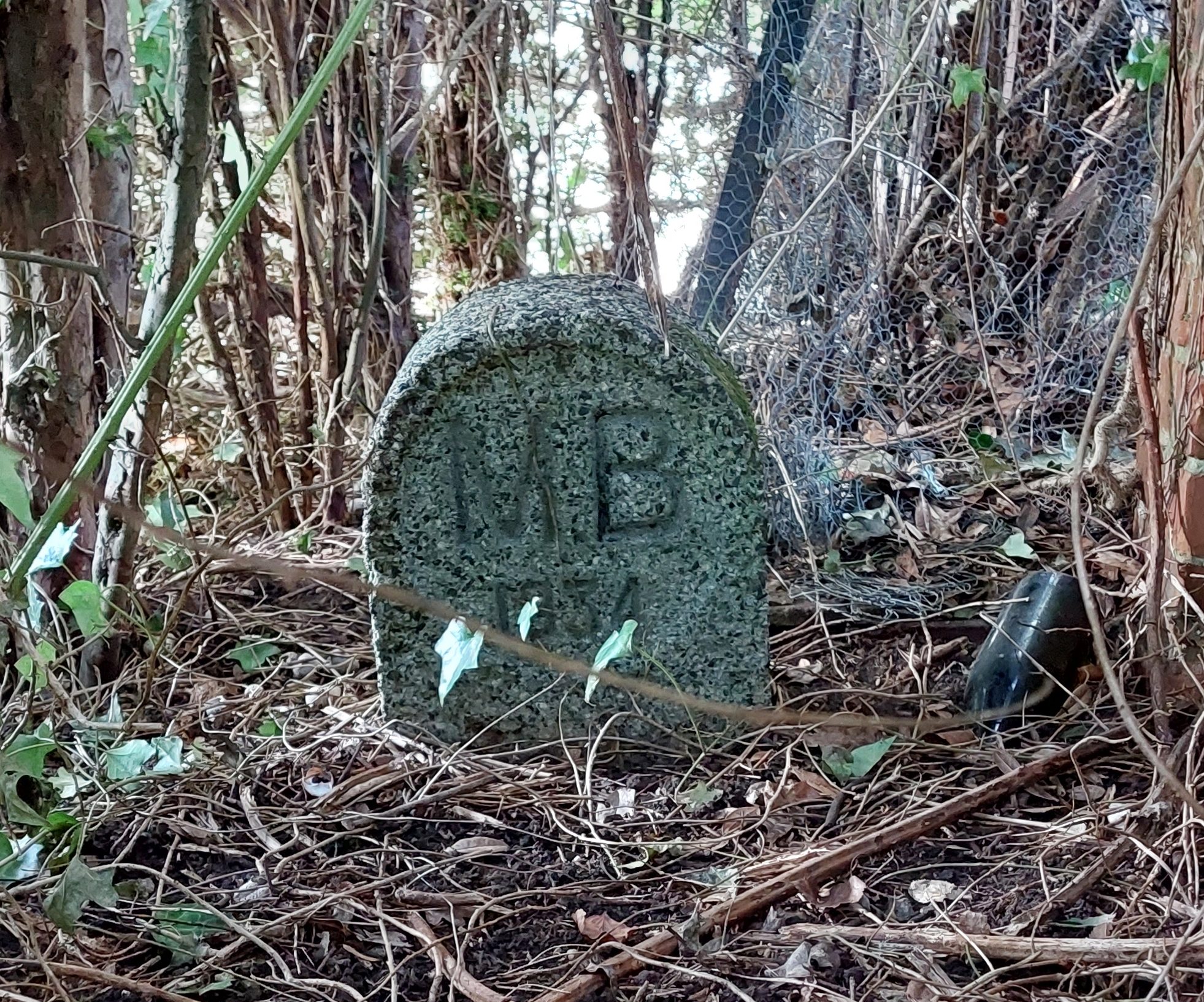Boundary Stone MB9 Leigh Cottage